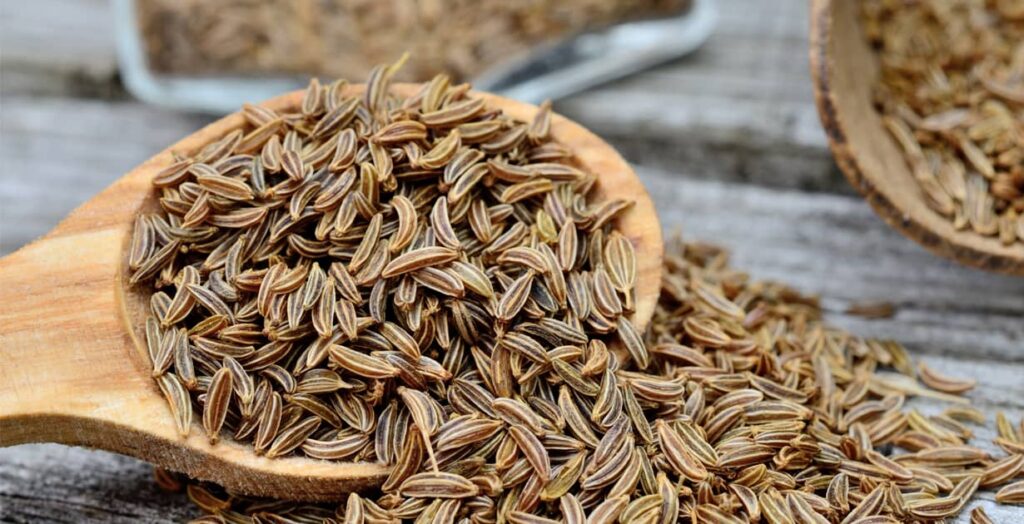 Caraway Seeds