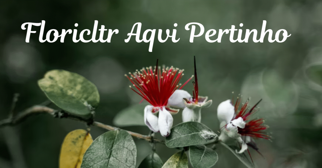 Floricltr Aqvi Pertinho