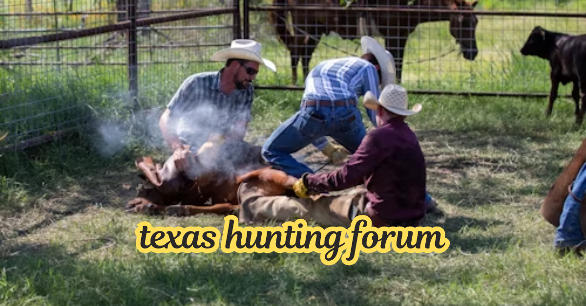texas hunting forum