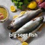 Big Seer Fish